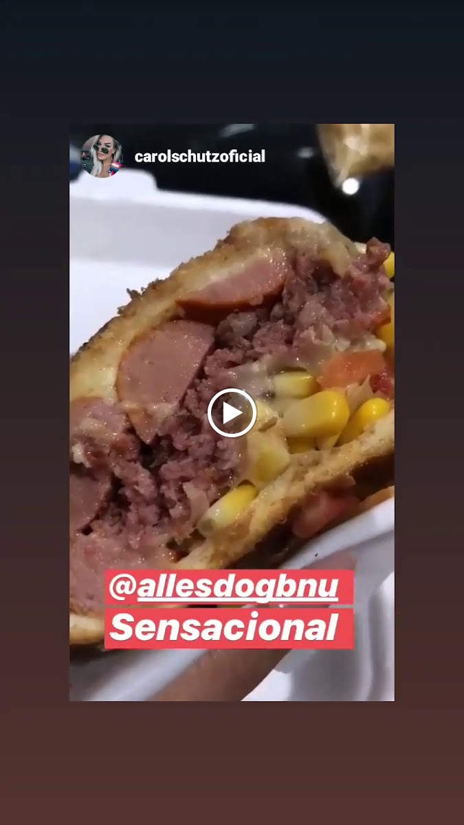 Alles Dog! Hot Dog!-2